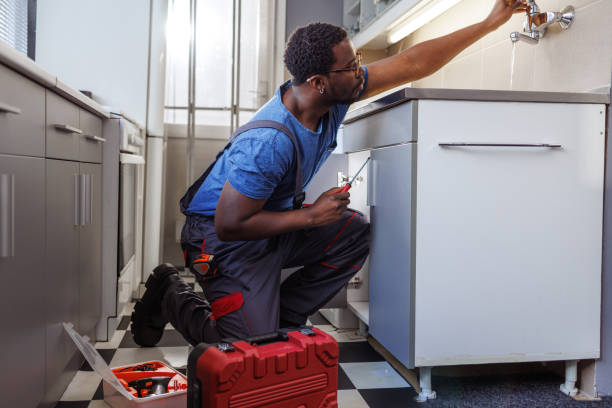 Best Plumbing Inspection Services  in Lemont Furnace, PA